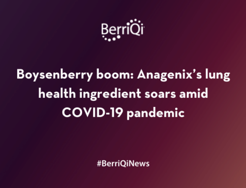 Boysenberry boom: Anagenix’s lung health ingredient soars amid COVID-19 pandemic