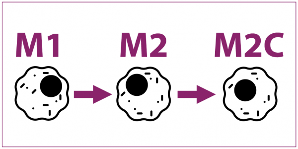 berriqi-3m-direction