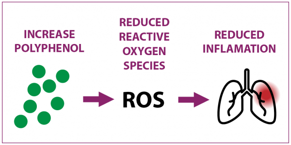 berriqi-ros