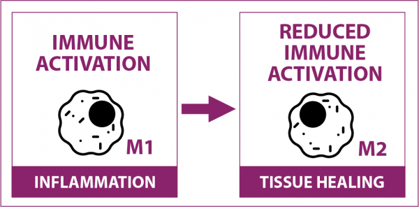 berriqi-tissue-healing