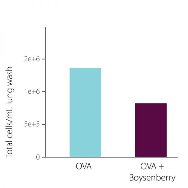 graphs