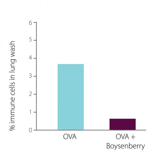 graphs2