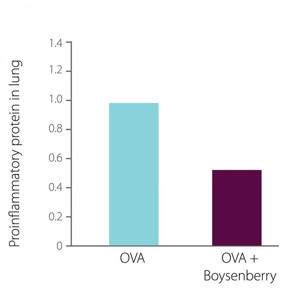 graphs3