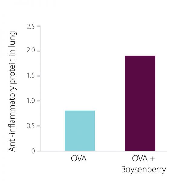 graphs4