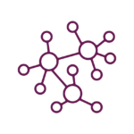 BerriQi – Antioxidant Activity_Colour