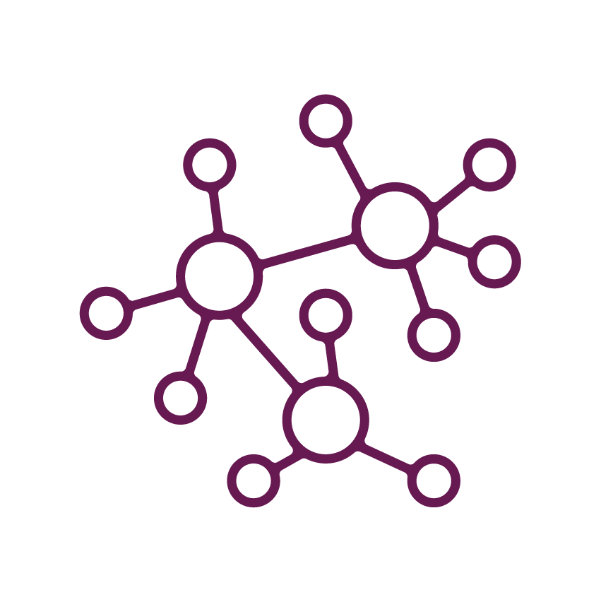 BerriQi – Antioxidant Activity_Colour
