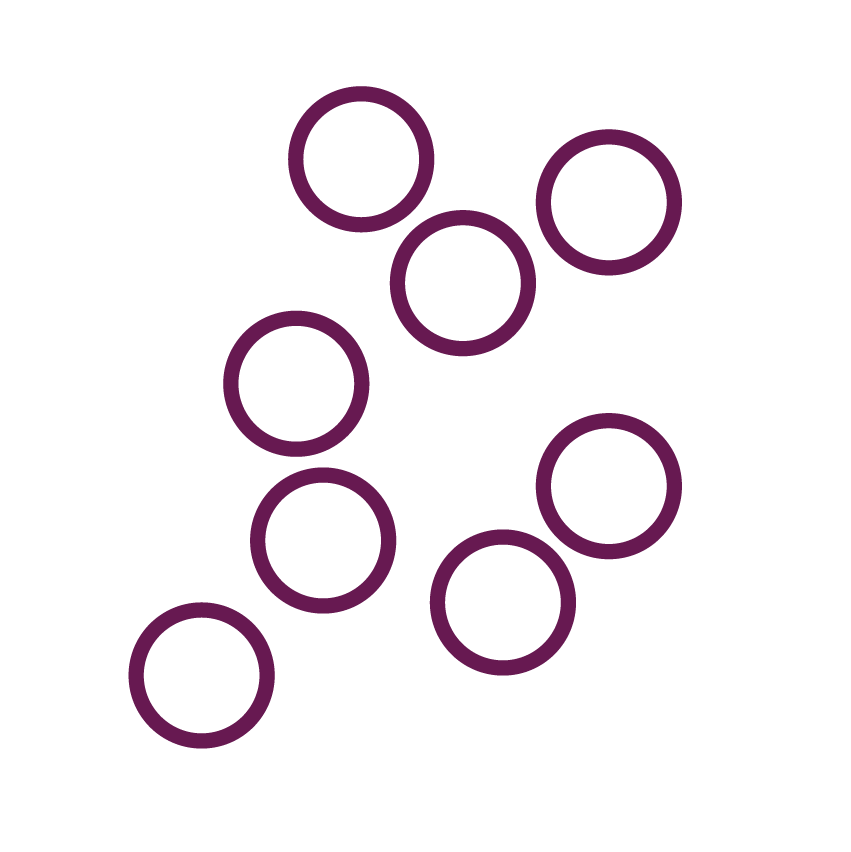 BerriQi – High Amounts of Polyphenols_Colour