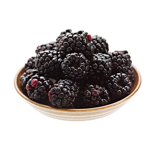boysenberry-001