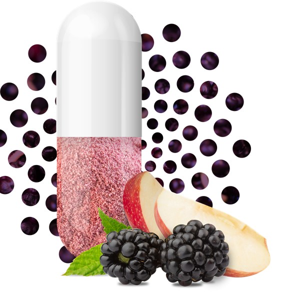 BerriQi capsule with boysenberry and apple BerriQi capsule alongside whole boysenberry and apple, its two source ingredients